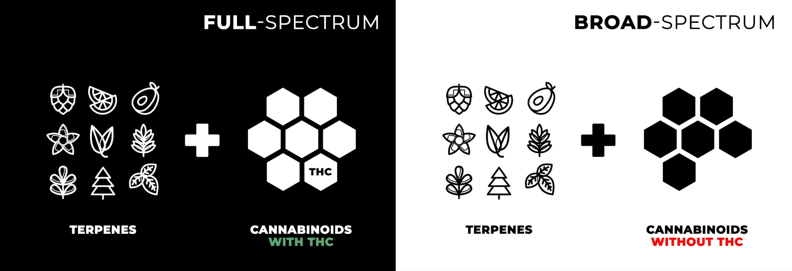 Teintures et terpènes à spectre complet sur fond noir, teintures à large spectre et terpènes sur fond blanc