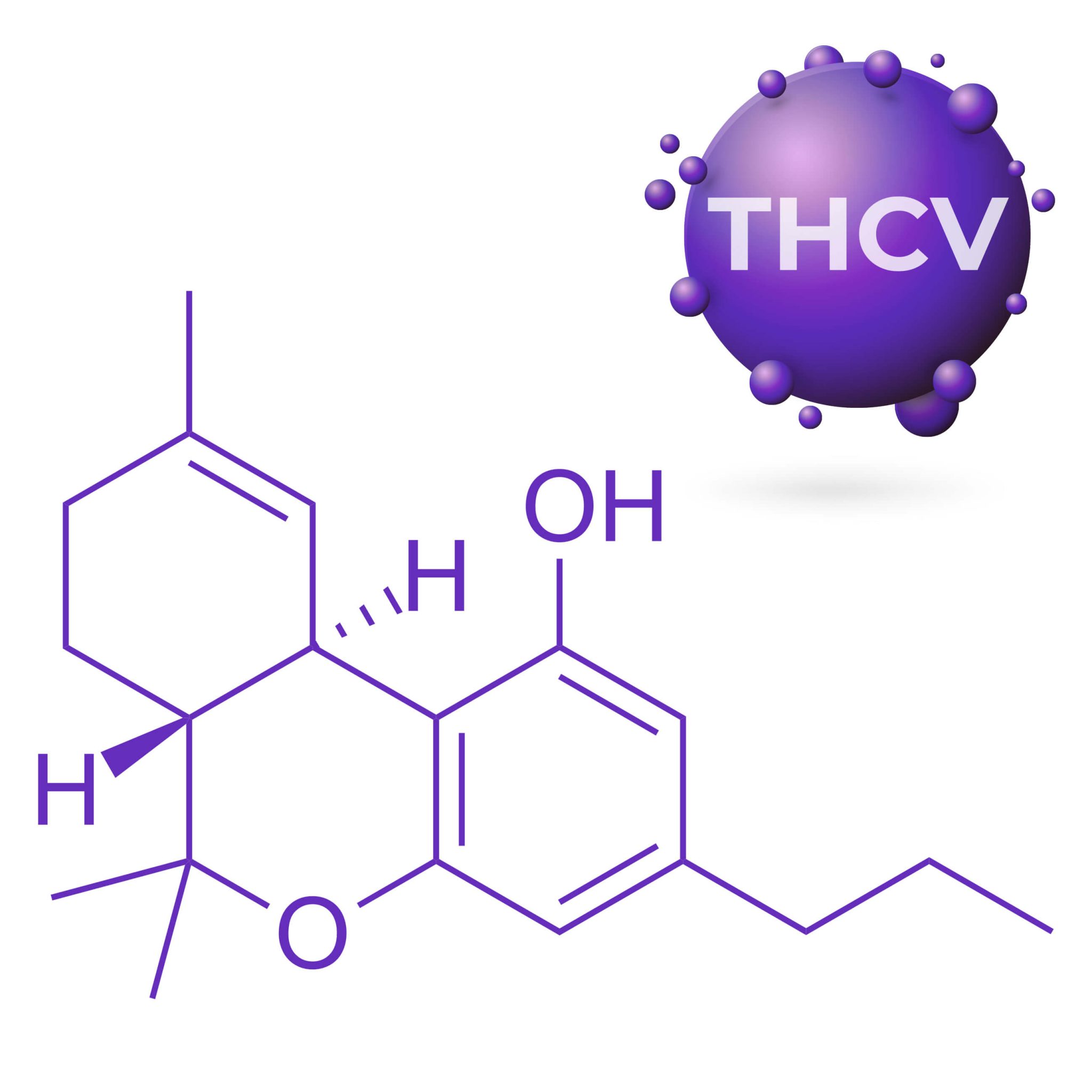 Los Efectos De La Marihuana En El Metabolismo - Sensi Seeds