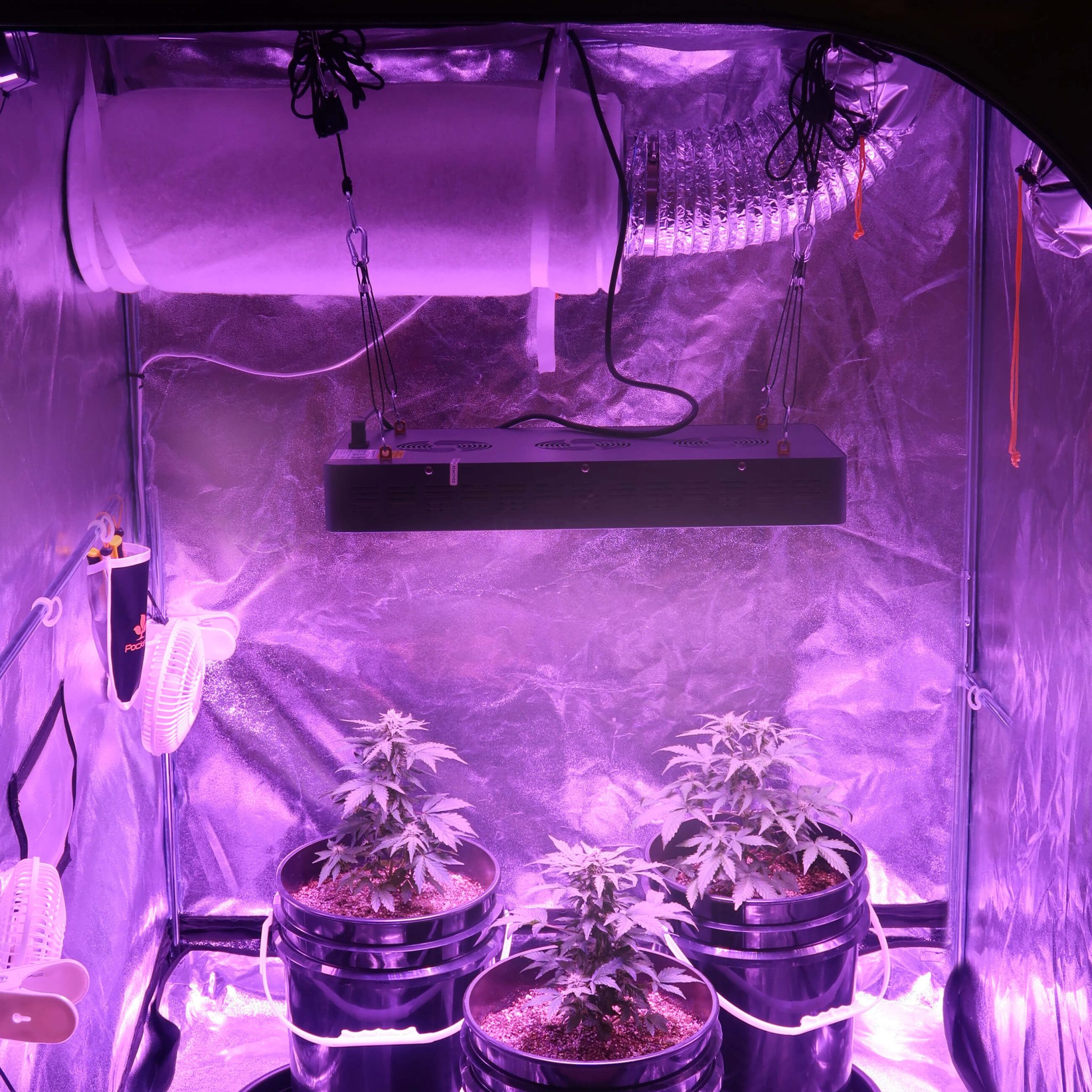 Grow Tent Ventilation How to Calculate Your Needs Sensi Seeds