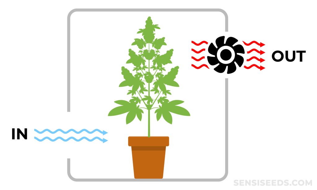 Grow Tent Ventilation: How to Calculate Your Needs - Sensi Seeds