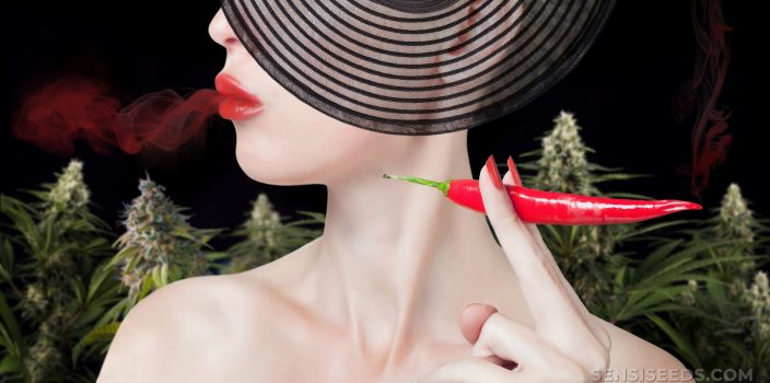 A woman with black hat smoking a red chili pepper and cannabis plants in the background