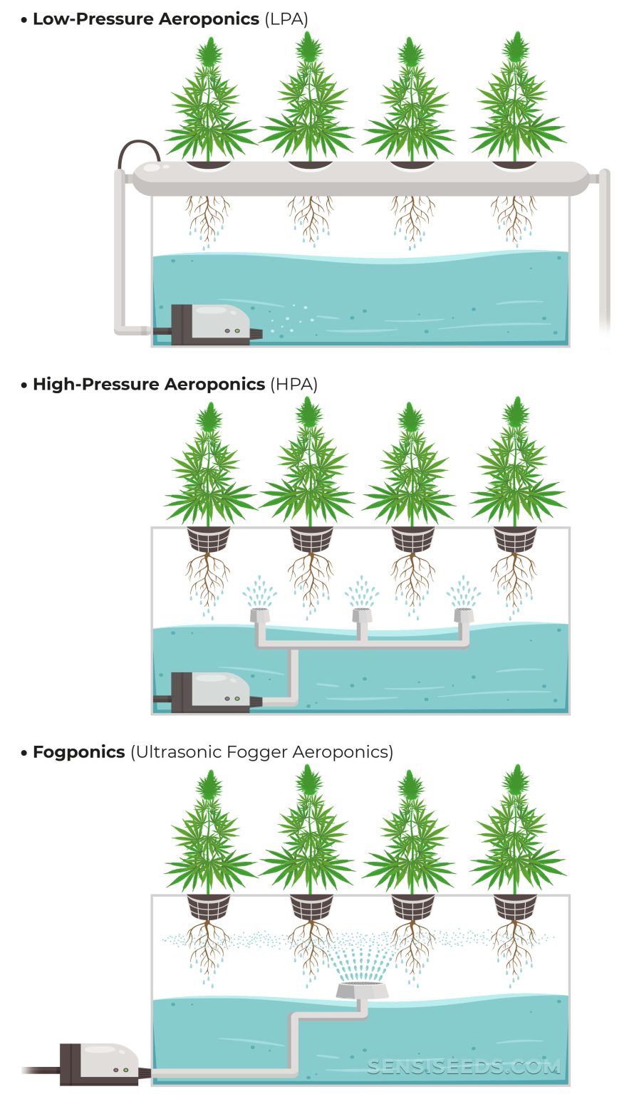 Aeroponic Cannabis: A Sustainable Cultivation Method - Sensi Seeds