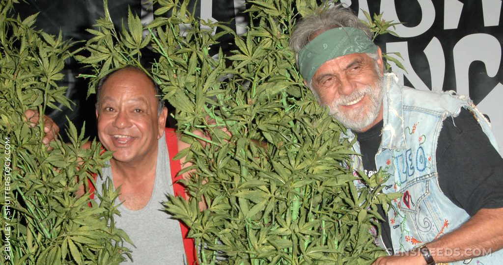 tommy chong