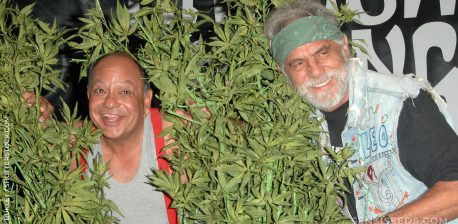 tommy chong