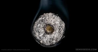 A close-up of donut joint rolled in black paper against the black the black background