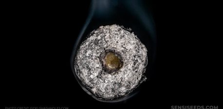 A close-up of donut joint rolled in black paper against the black the black background