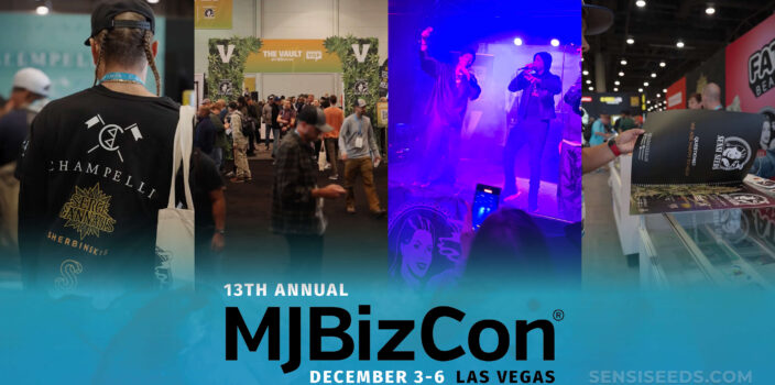 Personas que asisten a MJBizCon 2024 en Las Vegas