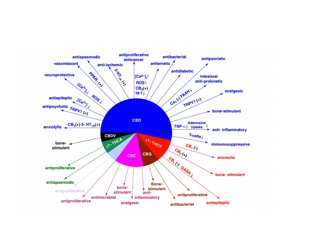 Medizinische Nutzung Von Cannabis Medizinische Nutzung Von Cannabis