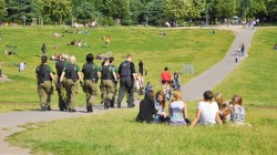 Cannabis vom Coffeeshop um die Ecke bald auch in Deutschland? - Sensi Seeds blog