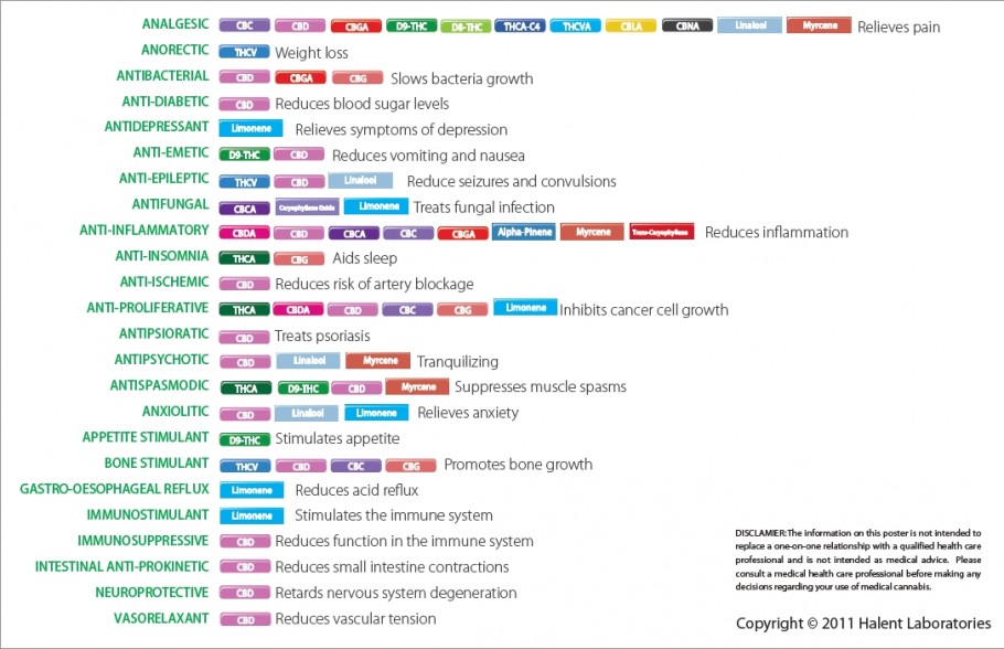 Terpene – Teil 2 - Sensi Seeds Blog