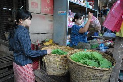 Betelblätter werden auf dem Bagan Nyaung Oo Markt in Myanmar angeboten (Tian Yake)