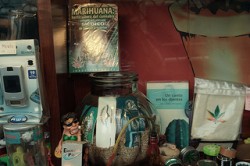 Spanien besitzt heute Hunderte von Cannabisclubs, insbesondere in Katalonien und im Baskenland (Nicolas Vigier) Spanien besitzt heute Hunderte von Cannabisclubs, insbesondere in Katalonien und im Baskenland (Nicolas Vigier)