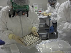 Kontrollierte klinische Tests sind der Maßstab für die medizinische Forschung. Nur 20 davon wurden im Zusammenhang mit Cannabis durchgeführt