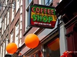 coffeeshop old amsterdam Sensi Seeds blog