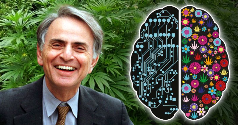 Carl Sagan 3 - Sensi Seeds blog
