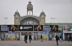 Die Tschechische Republik verfügt über eine gut entwickelte Cannabiskultur (© pirati.cz)