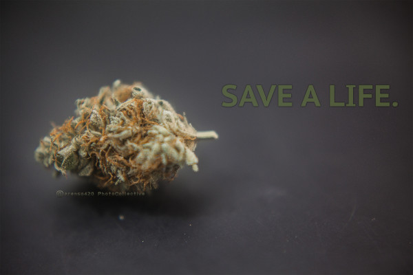 New South Wales hat mit der klinischen Erprobung von medizinisch verwendbarem Cannabis zur Behandlung von Epilepsie, chronischen Schmerzen und Nebenwirkungen der Chemotherapie begonnen (CC.prensa420)