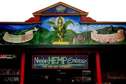 Das Ziel der Hemp Embassy ist die Reform der gesetzlichen Situation von Cannabis in Australien (CC.Nicki Fernades)