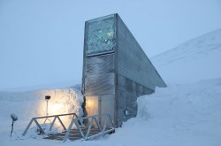 The importance of maintaining seed banks - 2 - The Svalbard Global Seed Vault is a major repository