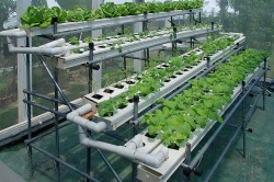 How to Invest in the Cannabis Industry - 2. Equipment supply is just one example of a cannabis-related industry worth investing in