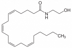369px-Anandamid.jpg