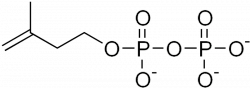 Isopentenyl pyrophosphate