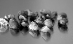 Medicinal Plants— Hawaiian Baby Woodrose Part II - 2. Healthy seeds should be dark brown, irregular in shape and around 2.5-5mm across (Cavale Doom)