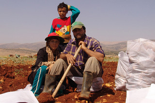 Farmers in the Bekaa Valley have been encouraged to grow other crops, such as potatoes