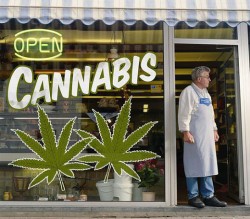 A cannabis dispensary in Colorado.