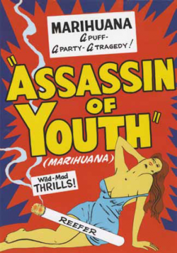 assassin of youth