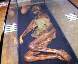 A skeleton of the Princess Ukok inside a glass case