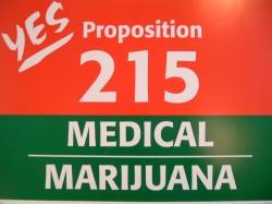 A red and green flyer promoting Proposition 215 to legalise medical marijuana