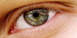 Glaucoma is a common disease affecting the eyes, that increases in frequency with age (© 0olong)