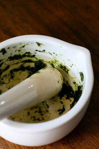. Various traditional cultures utilize cannabis preparations to treat cuts and injuries (© Chiot's Run)