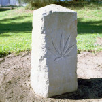 History of cannabis milestones - Sensi Seeds blog