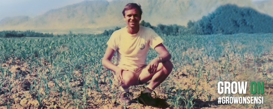 Ben Dronkers en el campo de la marihuana