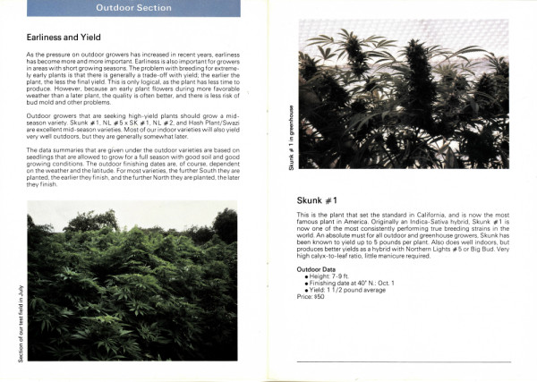 Skunk #1 in Sensi Seeds catalogue