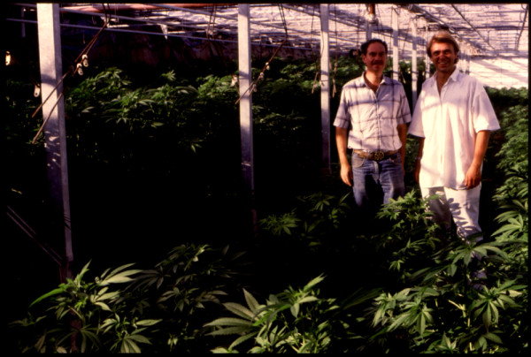 Ed Rosenthal and Ben Dronkers in cannabis greenhouse