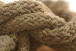In Elizabethan England, hemp was used to produce hangman's ropes, as well as whips for punishment (CC. aliceskr)