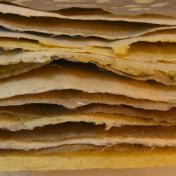Taylor described how many people earned their living from hemp, by producing paper for example (CC. Smallest Forest)