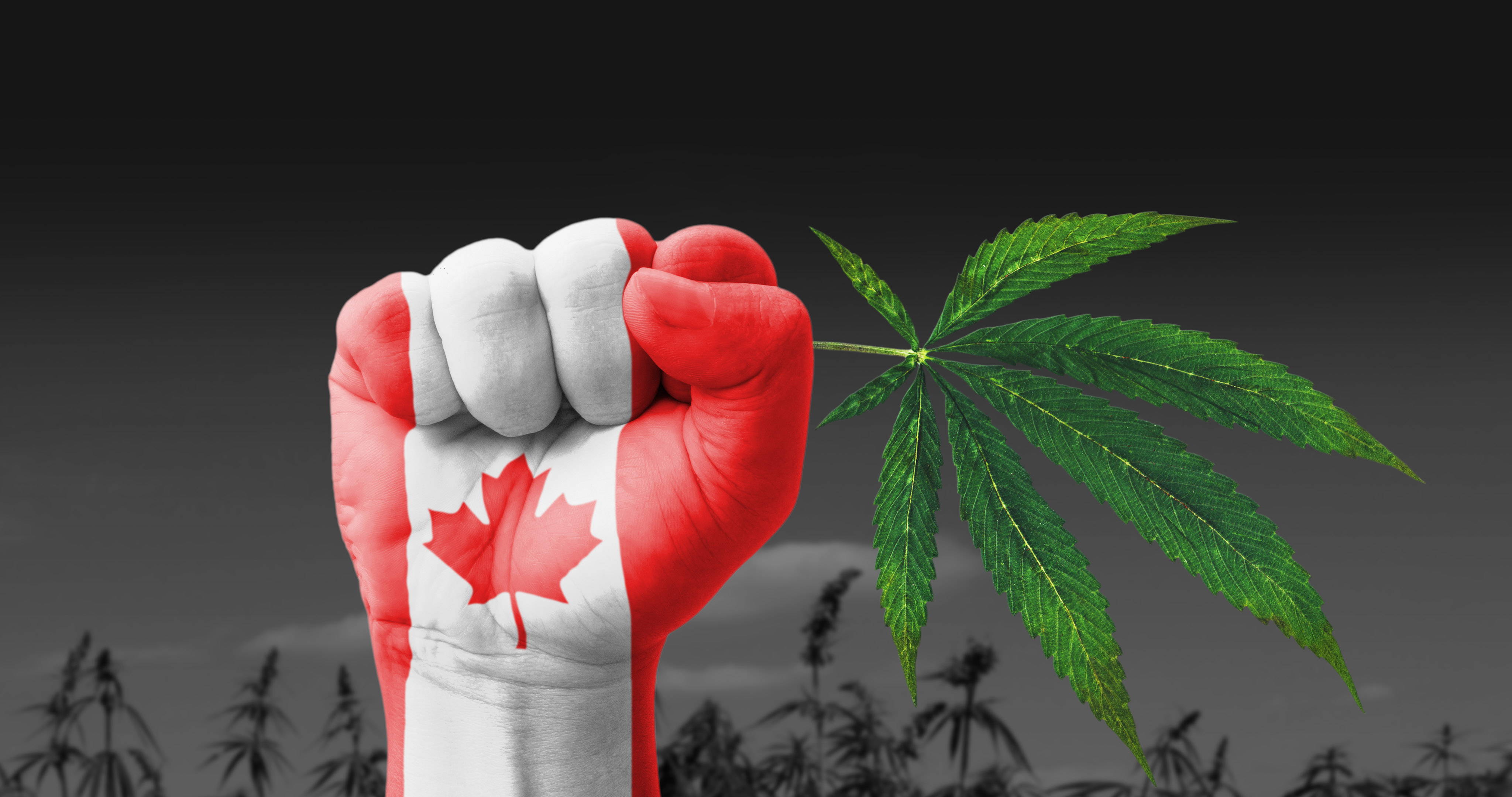 canada-on-the-way-to-legalising-cannabis