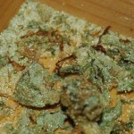 Glassplitter Cannabis Hanf Streckmittel