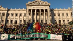 El lema que acompaña a la nueva regulación : Cultivando la Libertad, Uruguay Crece