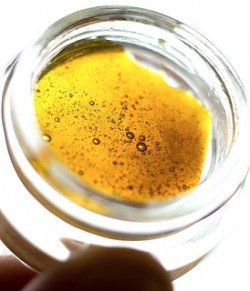 This butane extract is high-quality, but the small bubbles may be an indication of trace butane, and further purification may be required (Symic)