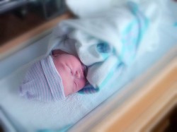 Cannabinoids can mitigate the damage caused by perinatal hypoxic-ischemic event, a significant cause of developmental disorders in children (Godverbs)