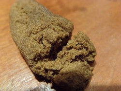 morocco hash sensi seeds blog