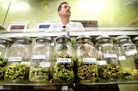 Muy pronto también abrirán sus puertas dispensarios de cannabis, como éste, en Oregón, Alaska y Washington, D.C.