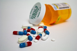 HIV 3 - Sensi Seeds blog
