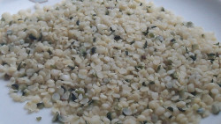 En el norte de España, se recomienda desarrollar un cultivo de semillas o granos alimentarios (©Evelyn Parham)