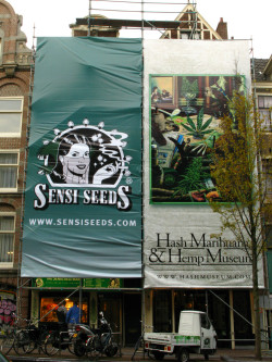 Exterior del Hosth Marihuana & Hemp Museum en Amsterdam